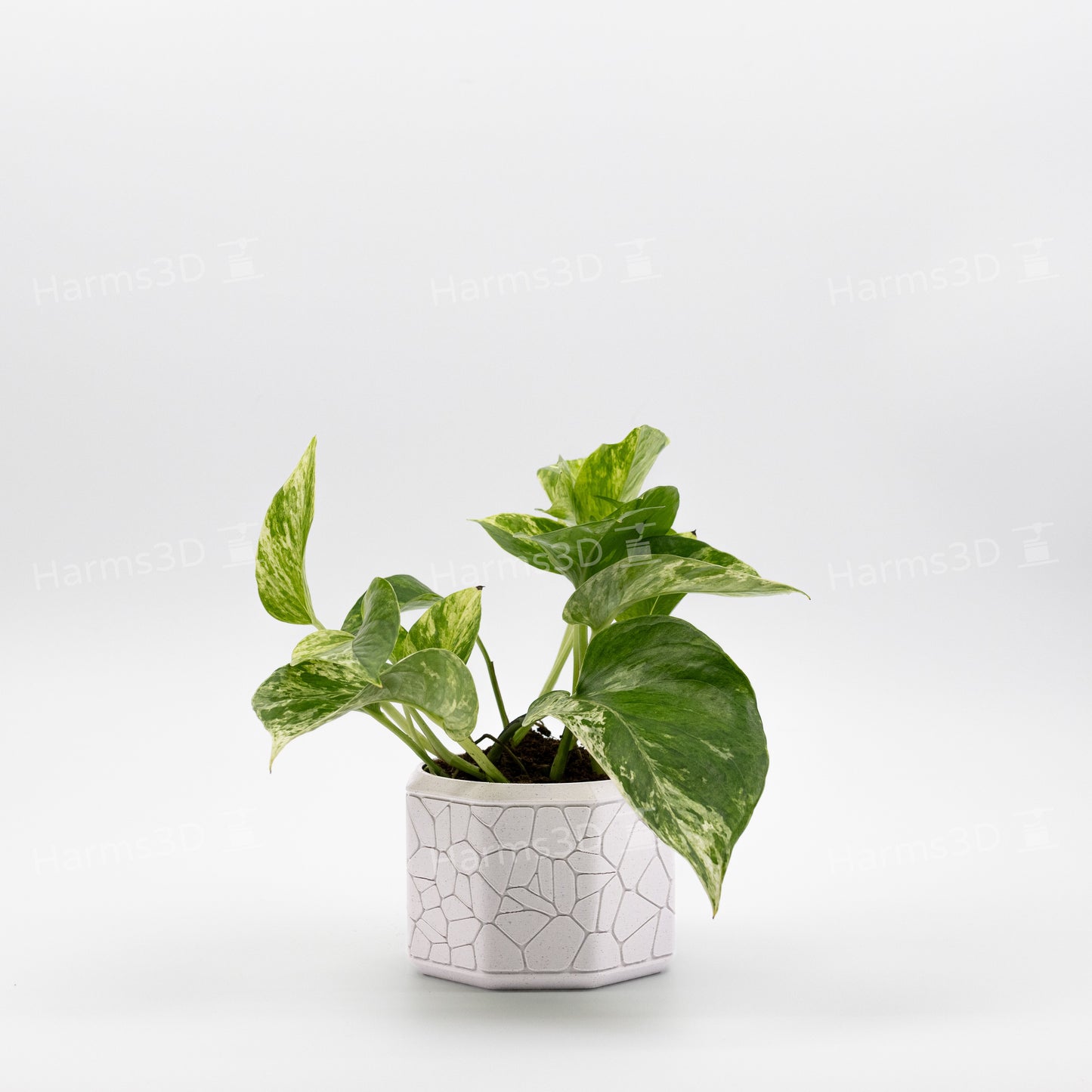 Vase #16 - octagon curved Stone pattern