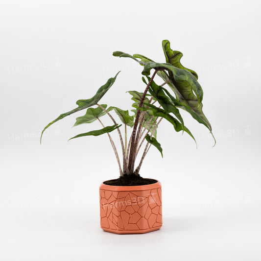 Vase #16 - octagon curved Stone pattern