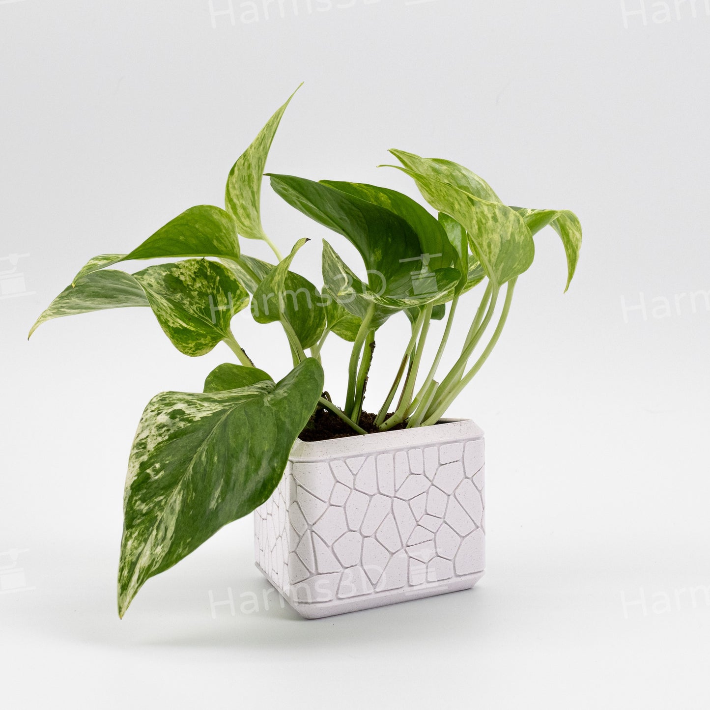 Vase #17 - triangle curved Stone pattern