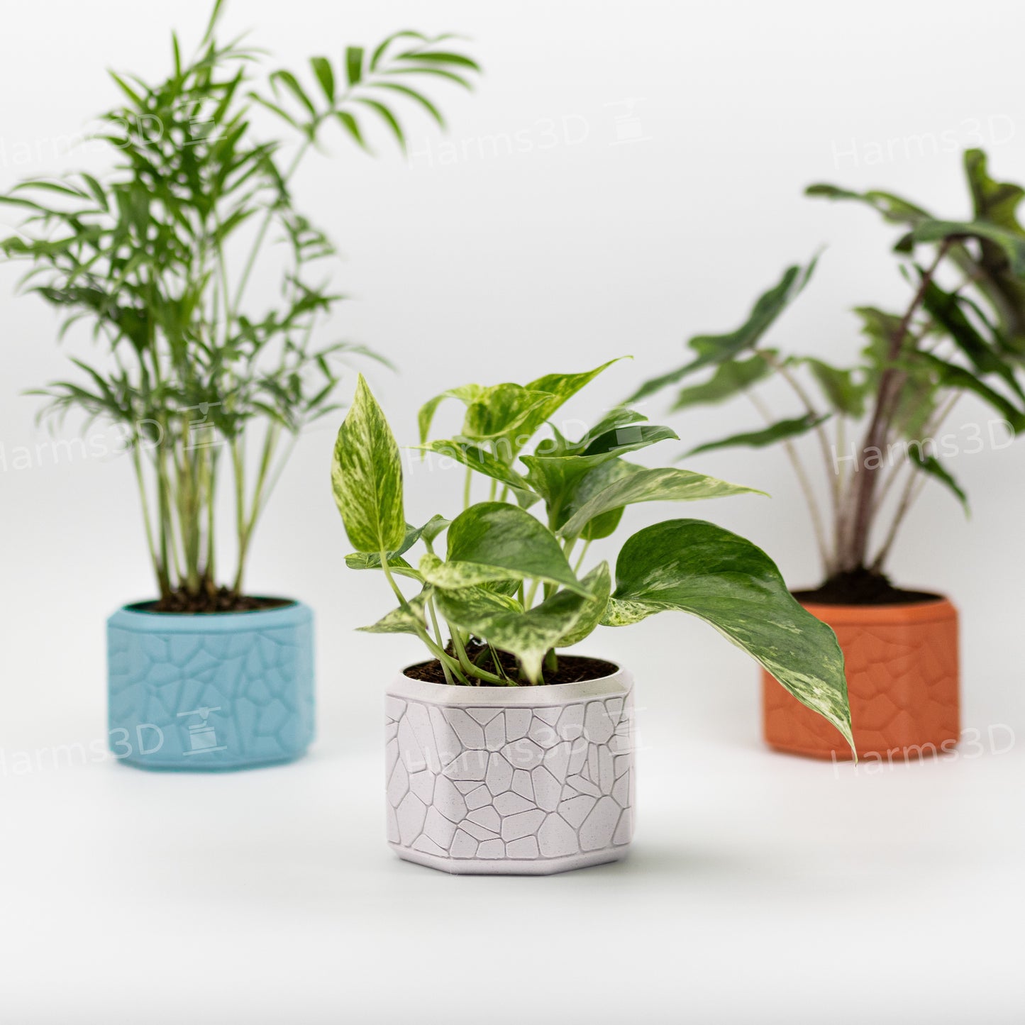 Vase #16 - octagon curved Stone pattern