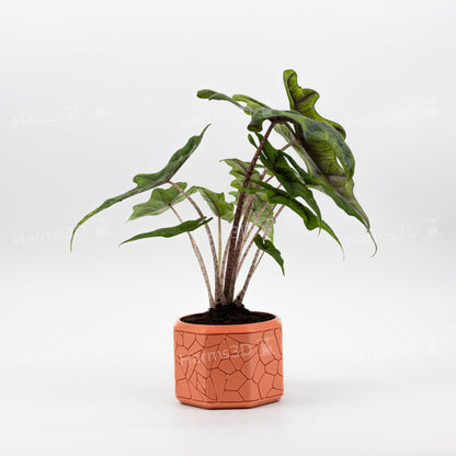 Vase #16 - octagon curved Stone pattern