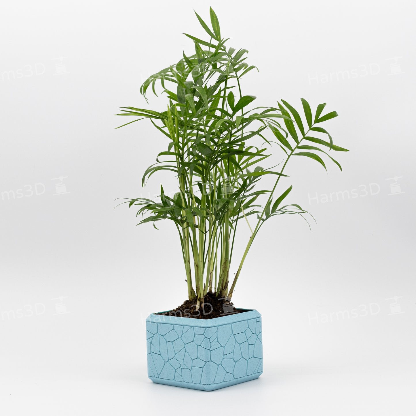 Vase #15 - square curved Stone pattern