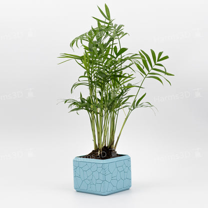 Vase #15 - square curved Stone pattern