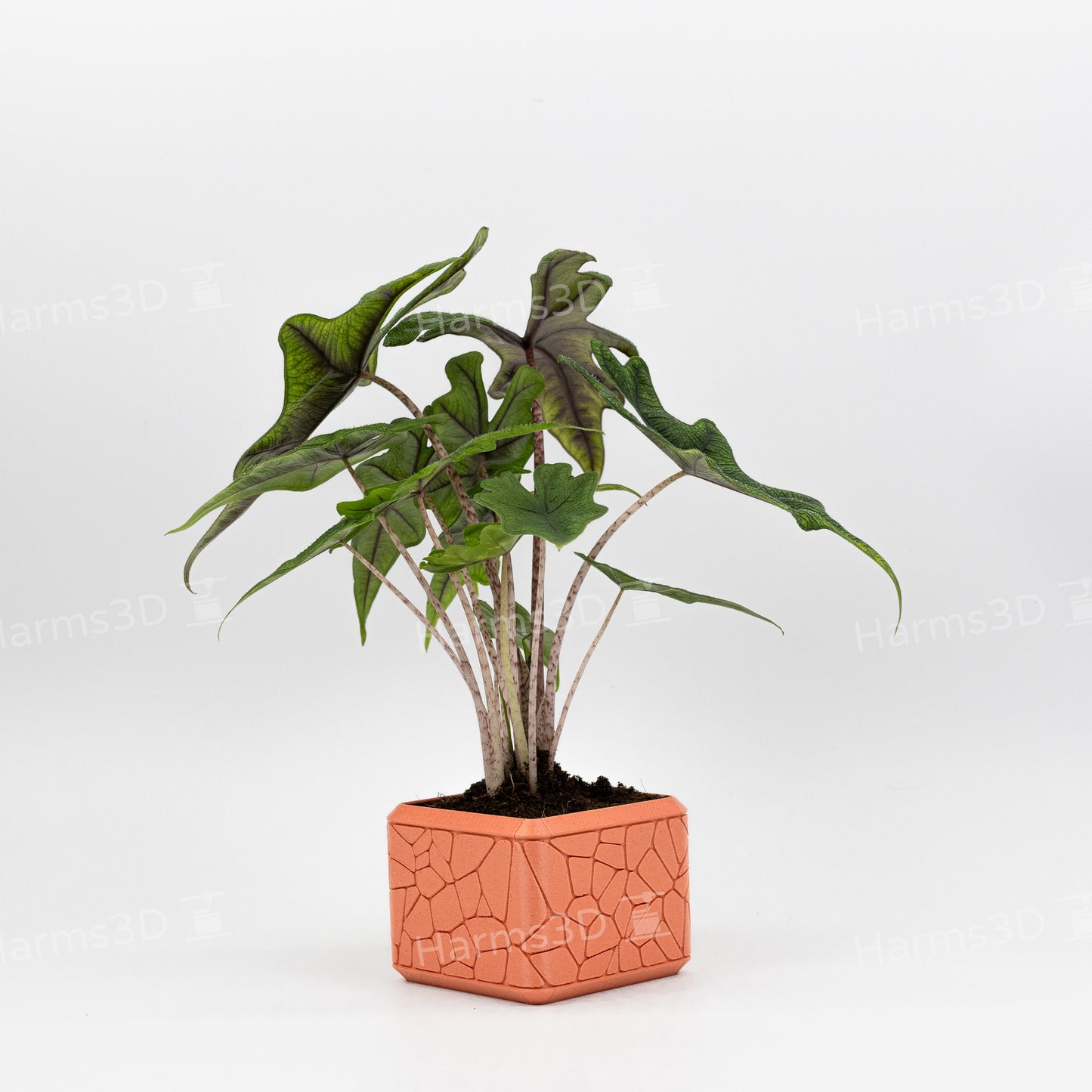 Vase #15 - square curved Stone pattern