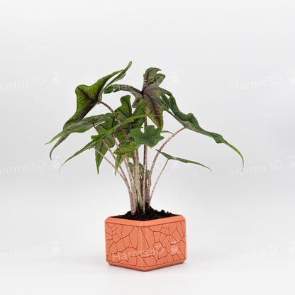 Vase #15 - square curved Stone pattern