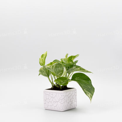 Vase #15 - square curved Stone pattern