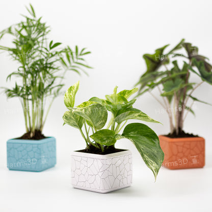 Vase #15 - square curved Stone pattern