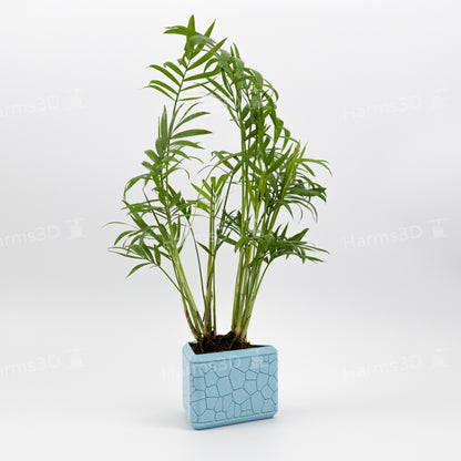 Vase #17 - triangle curved Stone pattern