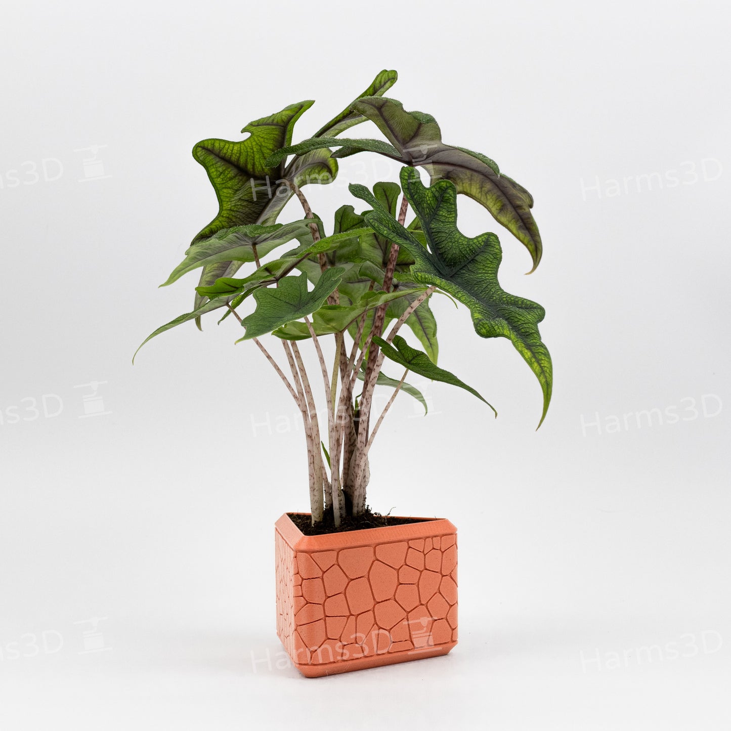 Vase #17 - triangle curved Stone pattern