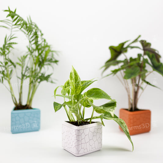 Vase #17 - triangle curved Stone pattern